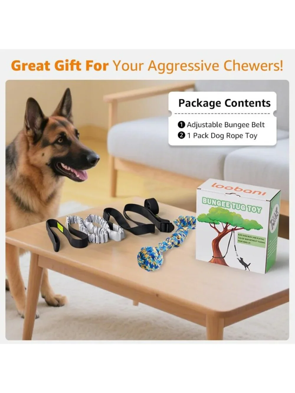 Durable Outdoor Bungee Tug Toy for Dogs | Interactive Chew Rope & Tether